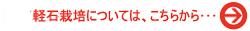 y΍͔|ɂẮA炩