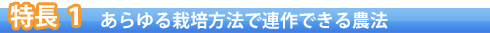 特長1 あらゆる栽培方法で連作できる農法
