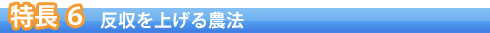 特長5 反収を上げる農法